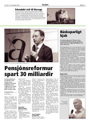 Síða 13
