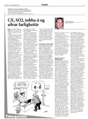 Síða 15