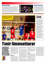 Síða 22
