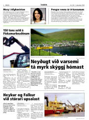 Síða 8