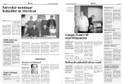 Síða 7