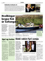 Síða 6