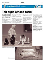 Síða 33