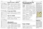 Síða 13
