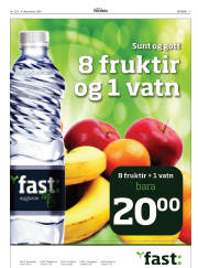 Síða 3
