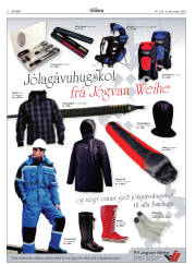 Síða 8
