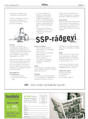 Síða 29
