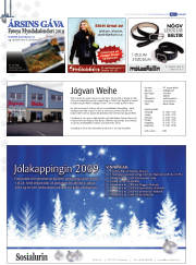 Síða 46