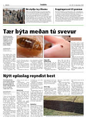 Síða 8