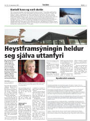 Síða 19