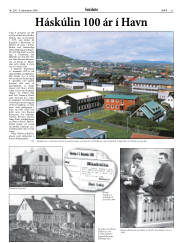 Síða 21