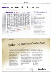 Síða 8