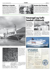 Síða 11