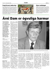Síða 11