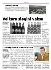 Síða 13