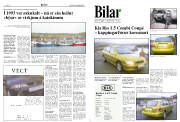 Síða 8