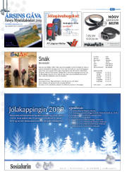 Síða 42