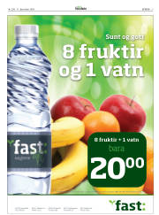 Síða 3