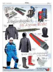 Síða 17