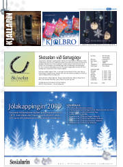 Síða 46