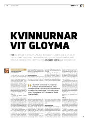 Síða 17