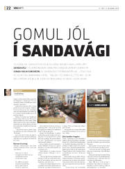Síða 22