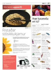 Síða 27