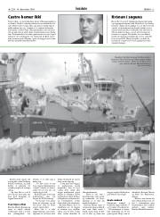 Síða 13