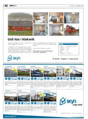 Síða 30
