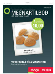 Síða 3