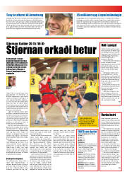 Síða 21