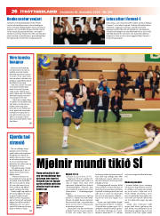 Síða 26