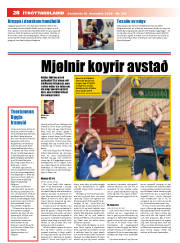 Síða 28