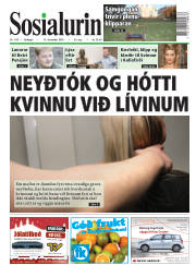 Síða 1