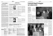 Síða 6