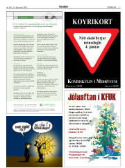 Síða 17