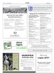 Síða 29
