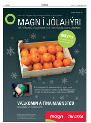 Síða 4