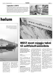 Síða 13
