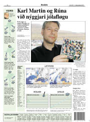 Síða 17