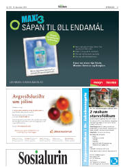 Síða 31