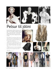Síða 1