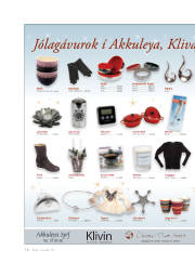 Síða 1