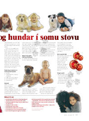 Síða 1