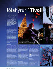 Síða 1