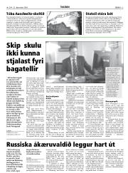 Síða 13