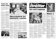 Síða 7