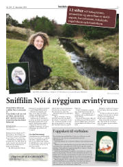 Síða 19