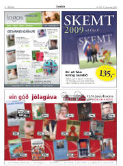 Síða 20