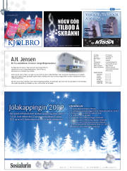 Síða 42